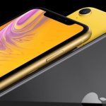 Чем iPhone XR отличается от iPhone 8 Plus